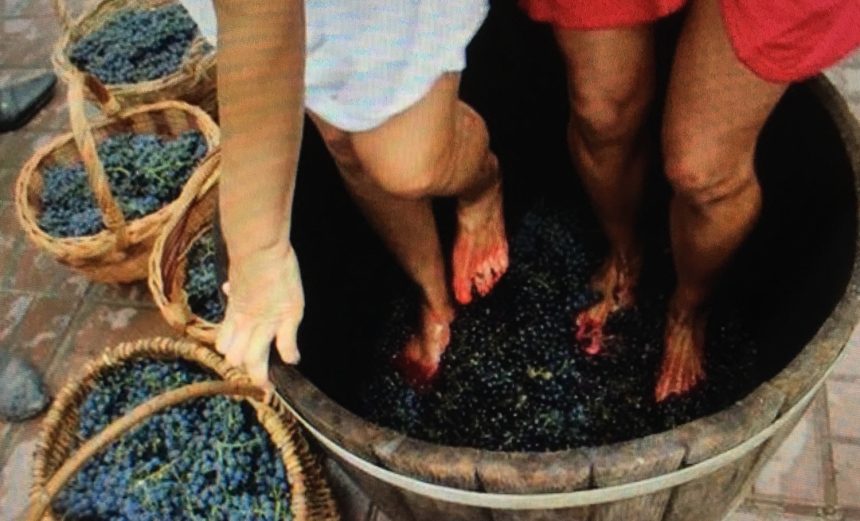 Bağlardan Sofralara: Kadın Eli